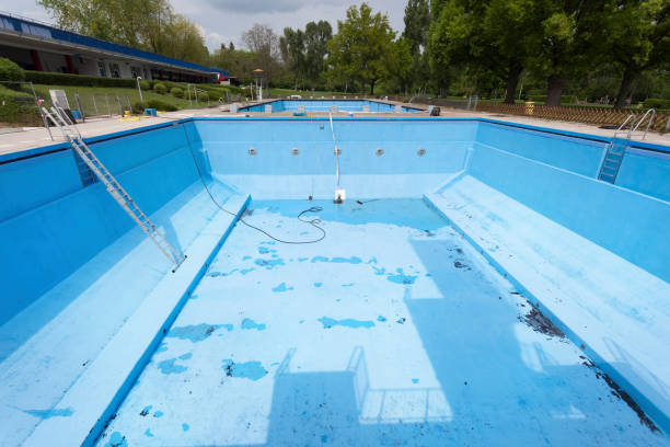 Best Water damage mitigation services  in Thunder Mountain, NM