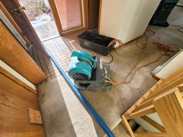 Best Flooded house restoration  in Thunder Mountain, NM