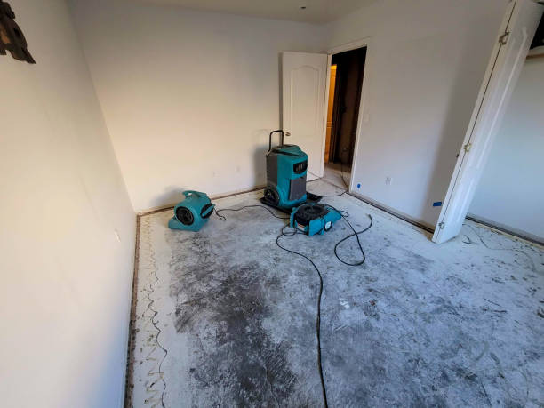Best Water damage cleanup near me  in Thunder Mountain, NM