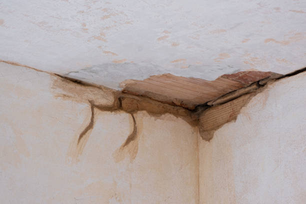 , NM Water damage restoration Company