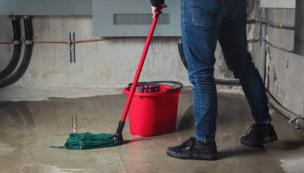  Thunder Mountain, NM Water damage restoration Pros