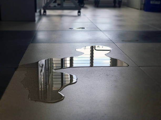 Best Professional water damage repair  in Thunder Mountain, NM