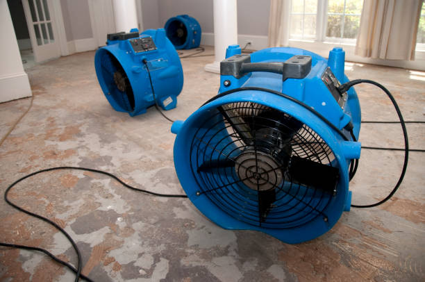 Best Water damage contractors near me  in Thunder Mountain, NM