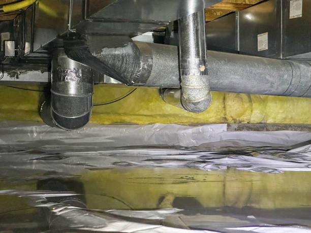 Best Mold removal after water damage  in Thunder Mountain, NM