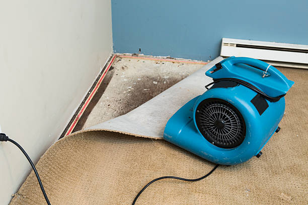Best Basement water damage restoration  in Thunder Mountain, NM